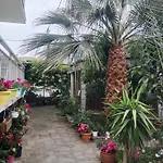 Patra Skala Prinou Prinos (Thasos)