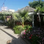 Apartment Patra Skala Prinou *